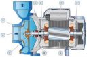 Pedrollo Centrifugal Pump HF Series